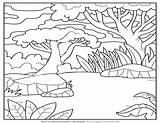 Tropical Rainforest Coloring Pages sketch template