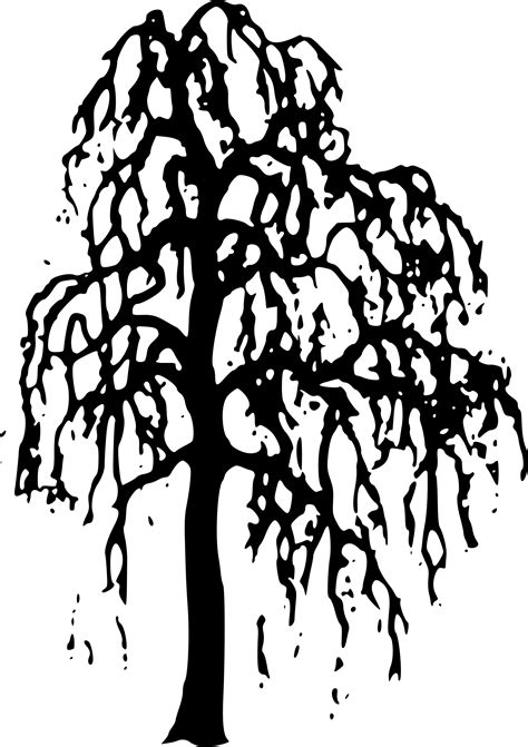 African Trees Silhouette Drawing - tree silhouette png download - 4726*2260 - Free Transparent ...