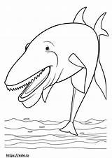 Blue Whale Coloring Pages  Free Printable sketch template