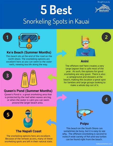 The Premier Location For Kauai Snorkeling Tours | Makana Charters