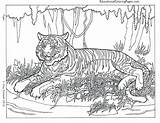 Complex Animal Coloring Pages At GetColoringscom  Free Printable sketch template