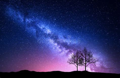 Pink Starry Night Sky