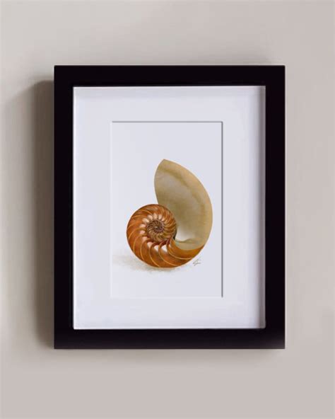 The Nautilus Nautilus Shell Nautical Art Painting Print - Etsy