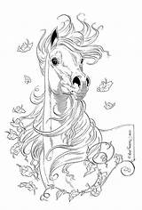 Resultado de imagen Para Black And White Horse Drawings  sketch template
