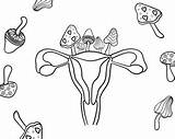Uterus Coloring Pages sketch template