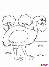 Emu Coloring Pages Printable For Free Download sketch template