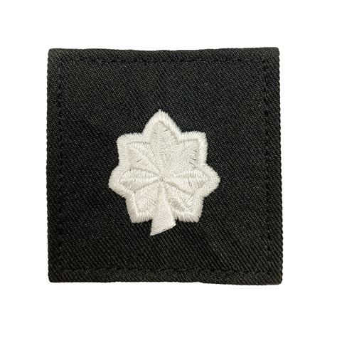 (O5) Lieutenant Colonel 2x2 Black W/ Hook Fastener | Insignia Depot