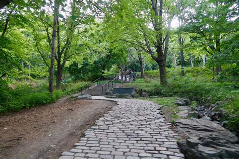 Climbing Up Mount Royal (Parc du Mont-Royal) in Montreal