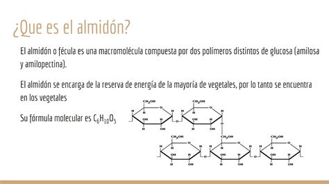 Almidón y Glucógeno - YouTube