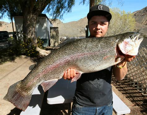 Lake Elsinore Fishing Report 2020 - Unique Fish Photo