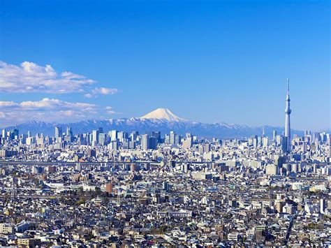 Tokyo in winter: what to see, do and eat - Lonely Planet