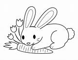 Printable Bunny And Carrot Coloring Page sketch template