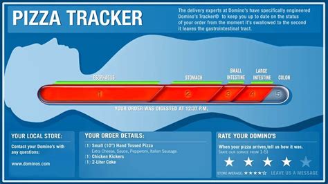 New Domino’s App Allows Customer To Track Pizza’s Movement Through Digestive System