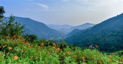 6 Best Places To Visit In Araku Valley To Soak In Nature