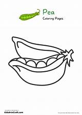 Pea Coloring Pages For Kids – Free Printables  Art & Craft sketch template