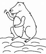 best groundhog Day Cartoon coloring Sheets  Coloring Pages sketch template