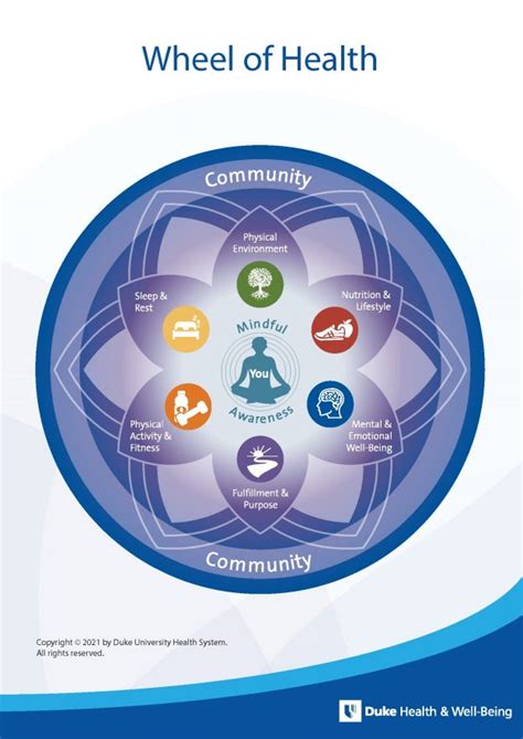 Wheel of Health - DHW Programs