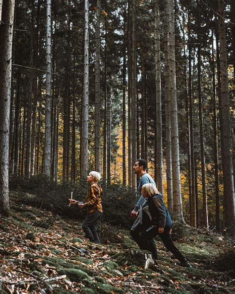 Rediscovering the Ardennes, Belgium’s unspoiled forests | Non Stop ...