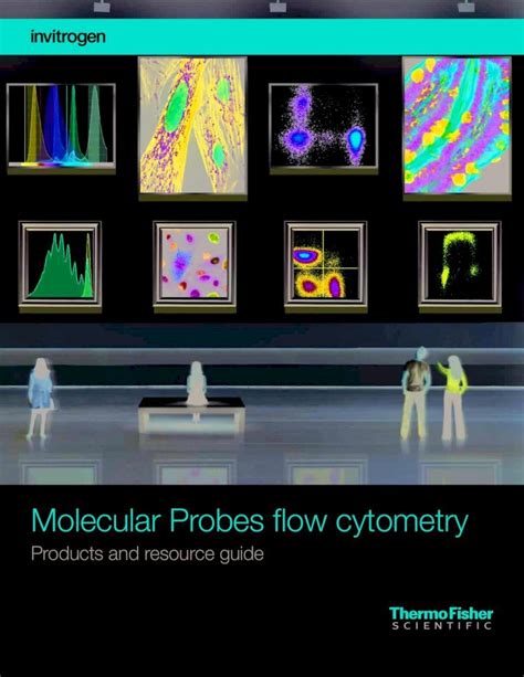 (PDF) Molecular Probes flow cytometry - Thermo Fisher Scientific · PDF file1 Molecular Probes ...