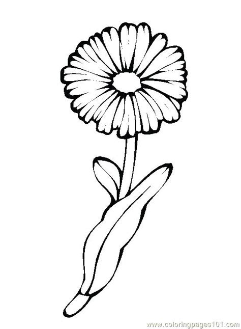 Dandelion Coloring Page at GetColorings.com | Free printable colorings pages to print and color