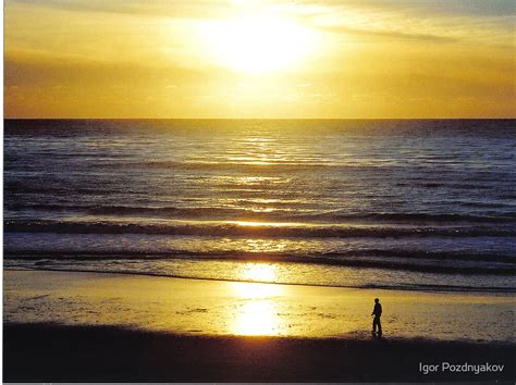 "Carmel Beach, California. Sunset" by Igor Pozdnyakov | Redbubble