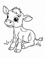 Cute Baby Cow Coloring Page Kids Activity Summer  sketch template