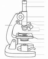 Labeling Microscope Worksheets sketch template