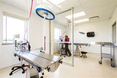 BDA Architecture :: Veterinary Hospitals :: General Practice