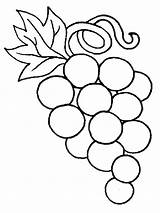 Grapes Coloring Page At GetColoringscom  Free Printable Colorings sketch template