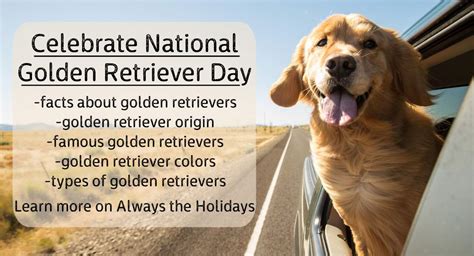 National Golden Retriever Day 2024 Pictures Printable - Celia Darelle