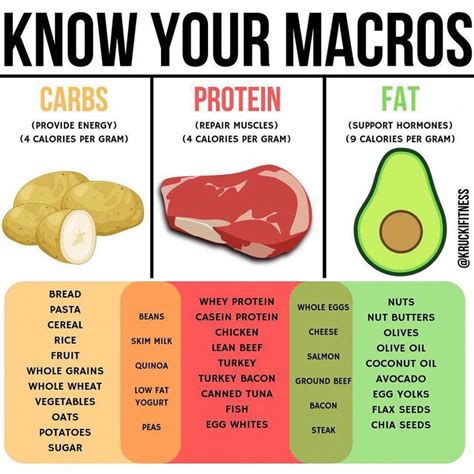 Have trouble finding certain foods to hit your macros? Look no further ...