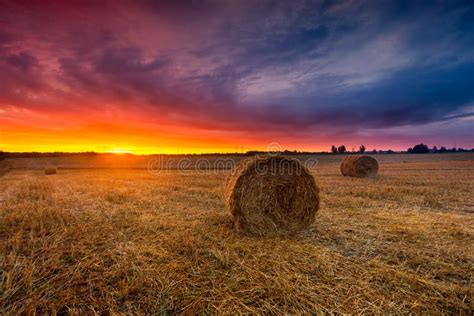 Sunset Sky Over Field with Straw Bales Stock Image - Image of sunlight ...