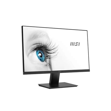 MSI PRO MP241X 24-Inch Full HD Computer Monitor - Professional LED ...