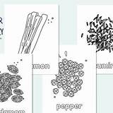Spices Coloring Pages For Kids  Etsy sketch template