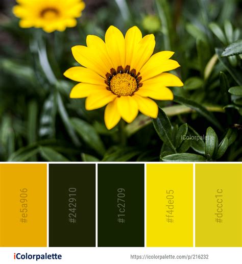 Sunflower Yellow Paint Code - SUNFLOWER