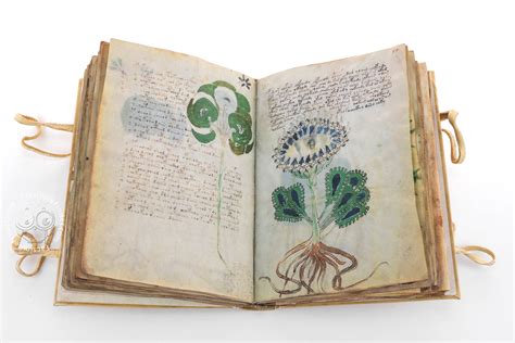 Voynich Manuscript « Facsimile edition