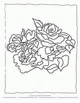 Botany Coloring Pages  Home sketch template