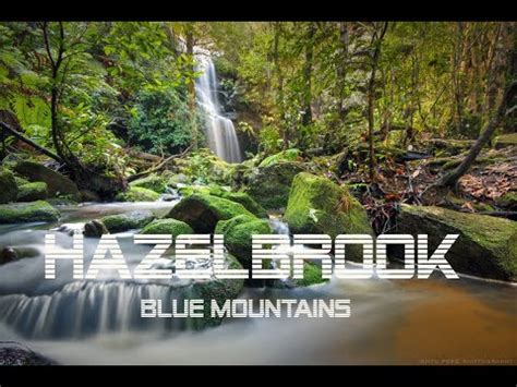 AUSTRALIA - Blue Mountains Hazelbrook 2020 - YouTube