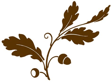 Oak Leaf Vector - Cliparts.co