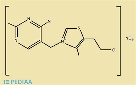 Difference Between Thiamine Mononitrate and Thiamine Hydrochloride | Definition, Properties, and ...