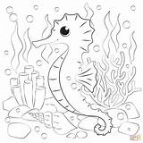 Seahorse Under The Sea Coloring Pages sketch template