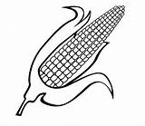 Corn Coloring Stalk Indian Candy Drawing Clipartmag Printable  sketch template