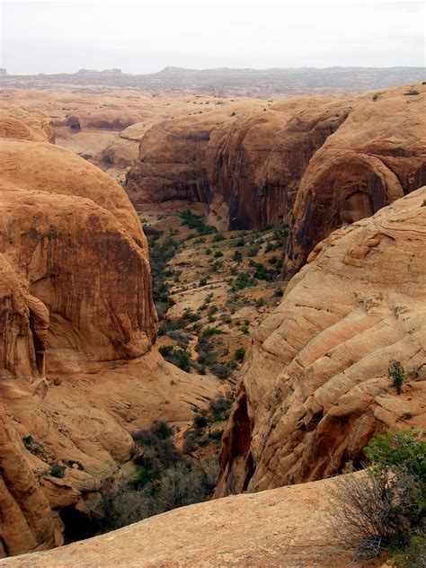 of Dry Flies & Fat Tires...: slickrock trail, moab ut