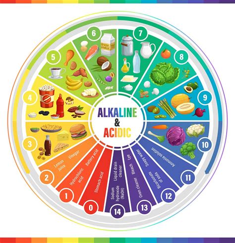 Free Acid & Alkaline Food Chart Printable PDF and List