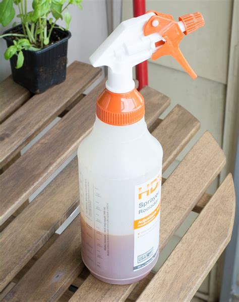 How to Keep Squirrels Off of Your Balcony Garden With a DIY Spray ...