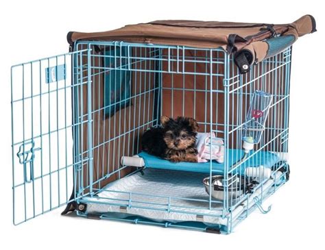 Dog Crate Potty Training ~ Dog Training Review