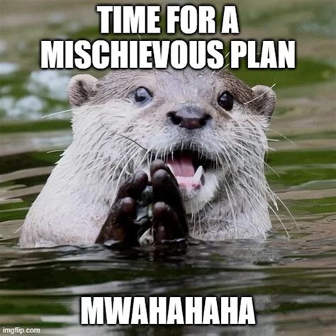 Otter Jam entry otter meme