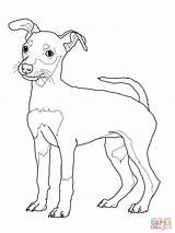 Weiner Dog Coloring Page At GetColoringscom  Free Printable Colorings sketch template