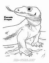 Komodo Coloring Page Pages sketch template