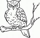 Cute Owl Coloring Pages  Coloring Home sketch template